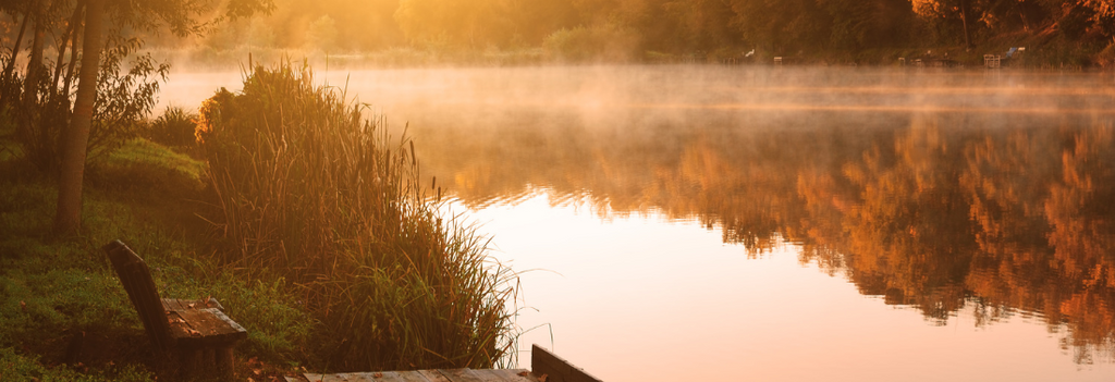 Jak dočasný videodohled ochránil rybník před pytláky